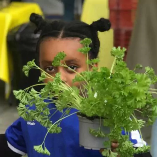 Educate about hunger and food waste